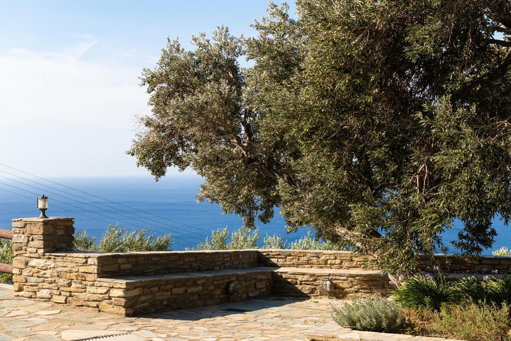 Andros Serenity Retreat - Adults Only Episkopion  Exteriör bild